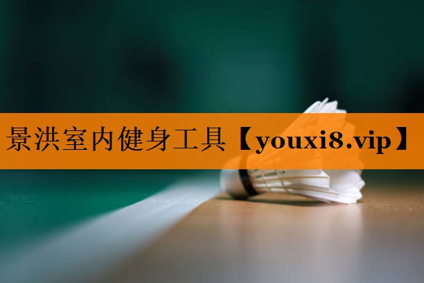 景洪室内健身工具