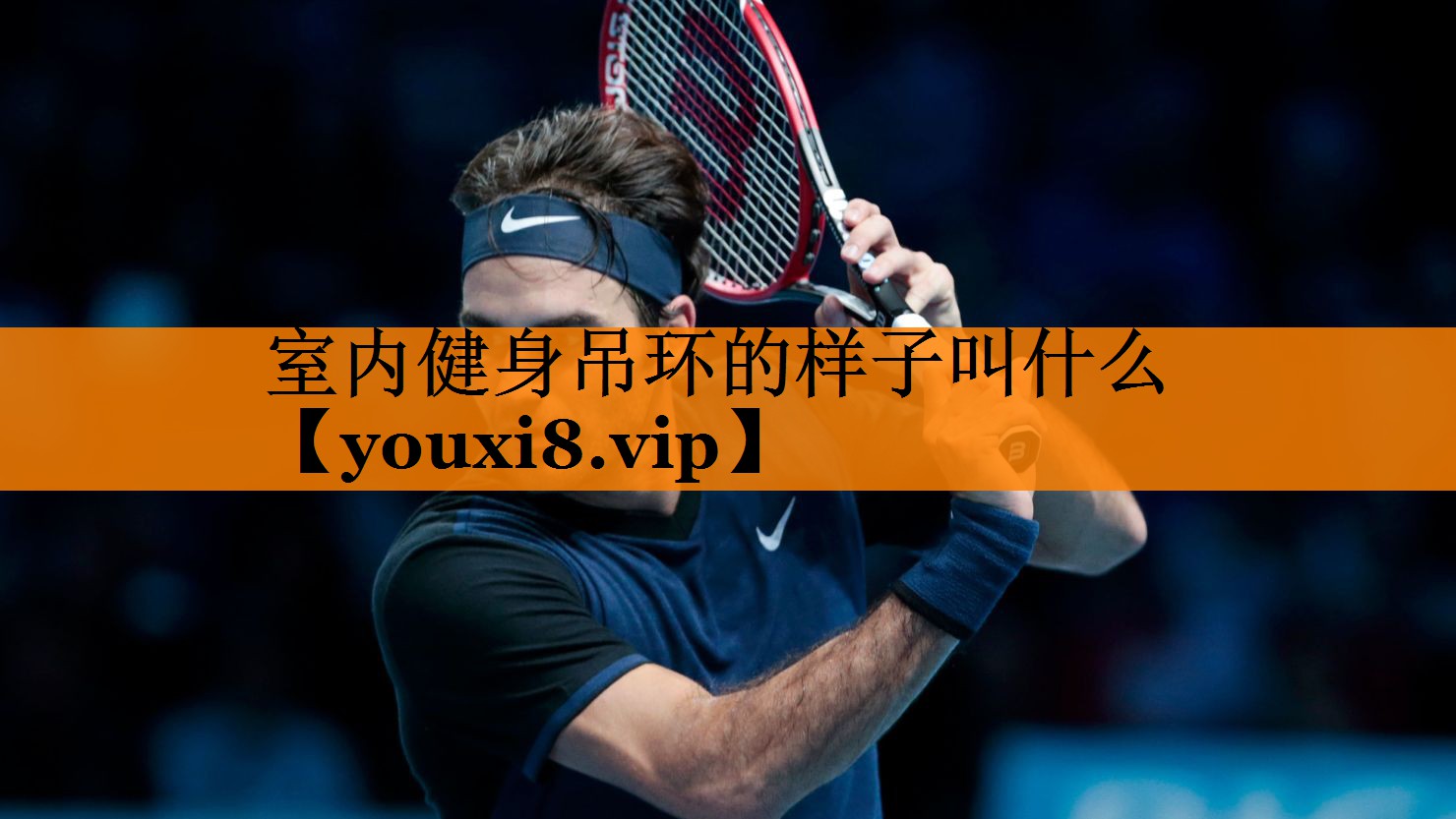 室内健身吊环的样子叫什么