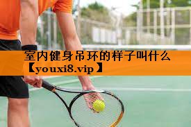 室内健身吊环的样子叫什么
